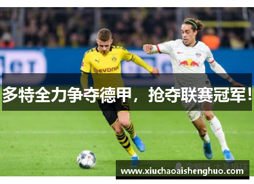 多特全力争夺德甲，抢夺联赛冠军！