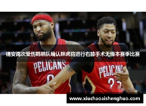 锡安再次受伤鹈鹕队确认胖虎将进行右膝手术无缘本赛季比赛